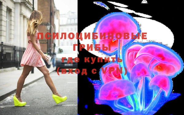 СК Арсеньев