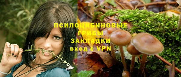 метадон Армянск