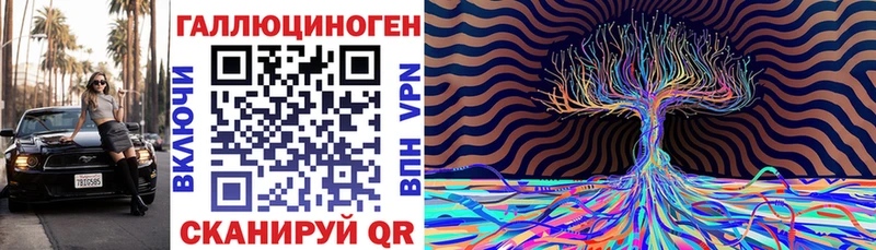 где продают наркотики  Суджа  Псилоцибиновые грибы мицелий 