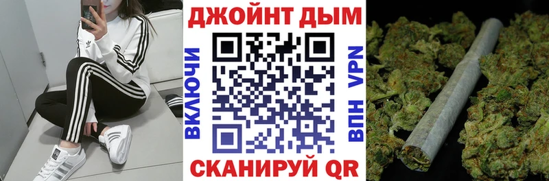Каннабис семена  Суджа 